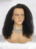 Kinky Curly Lace Front Wig