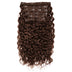 Curly Lace Clip-In Hair Extensions