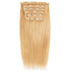 Straight Lace Clip-In Hair Extensions